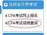 2018年注冊(cè)會(huì)計(jì)師成績(jī)查詢(xún)?nèi)肟冢▽?zhuān)業(yè)階段）